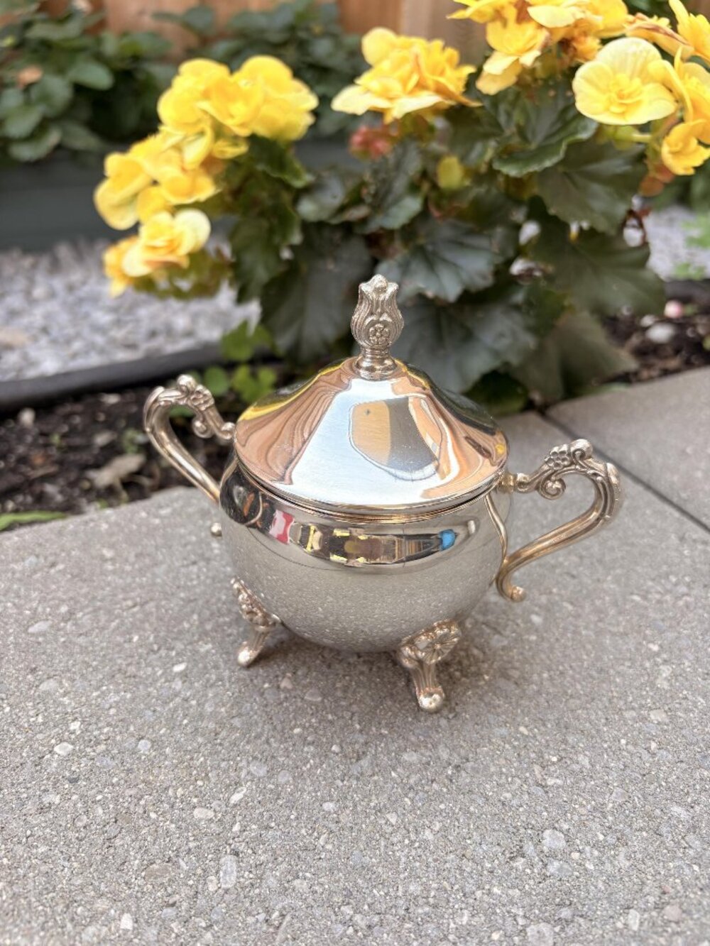 Vintage EPBM Silver Plated Sugar Bowl with Lid | Ornate Footed Two Handle Sugar